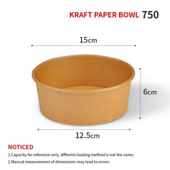 disposable salad bowl